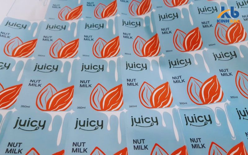 Tìm hiểu ngay về sự khác biệt giữa decal giấy và decal nhựa