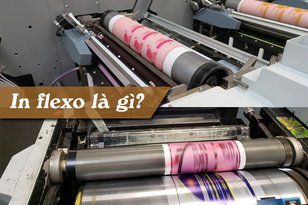 In flexo là gì? Chi tiết về quy trình và ứng dụng của kỹ thuật in flexo