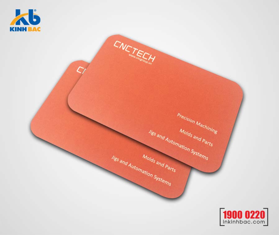 Mẫu card visit 02